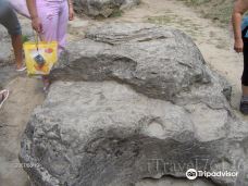 耶稣圣驴石-佐马尔迪