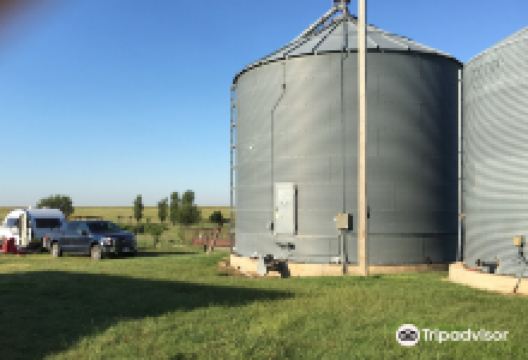 Shiloh Vineyard景点图片