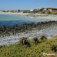 Yzerfontein's Main Beach-伊泽尔方丹