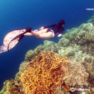 莫阿尔博阿尔图片