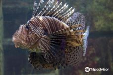 基尔水族馆-基尔