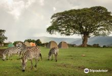 Kibuyu African Safaris景点图片