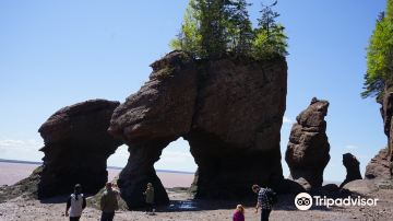 Hopewell Rocks Provincial Park