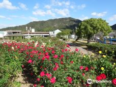 Yoshiumi Rose Park-今治市