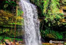 Cachoeira Ecológica Cachoeira Ecologica景点图片