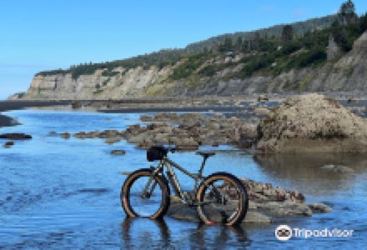 Cycle Logical购物图片