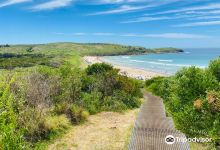 Killalea State Park景点图片