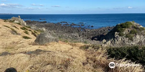 新豐新川海牧場