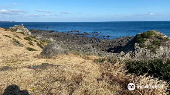新豐新川海牧場