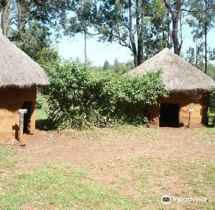 肯尼亚山动物孤儿院+肯尼亚博马斯民俗文化村+肯尼亚国家博物馆一日游