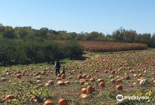 Braeutigam Orchards景点图片