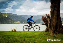 Bicicletaria Azores购物图片