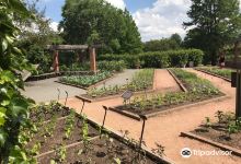Triton College Botanical Garden景点图片
