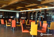 Cantina Todini景点图片