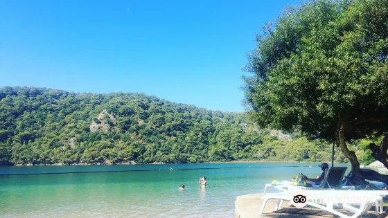 Suncity Beach Club