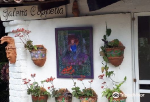 Galeria Coppelia景点图片