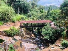 Bogoda Bridge-巴杜勒