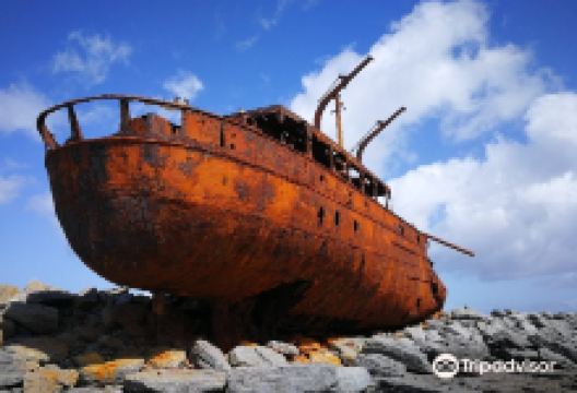 Plassey Wreck景点图片