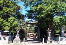 春日神社景点图片