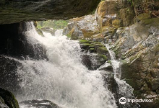 Parque National Los Quetzales景点图片
