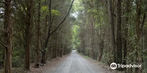 Cowans Ford Wildlife Refuge