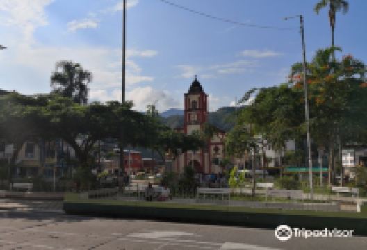Plaza Mayor de La Merced景点图片