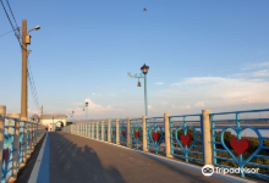 丽水渔港景点图片