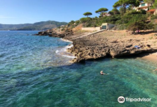 Spiaggia degli Stecchi景点图片