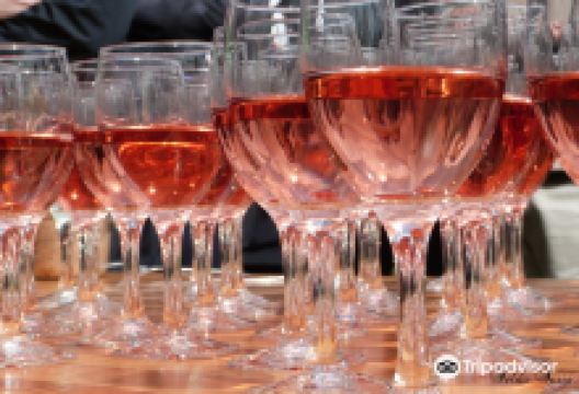 Domaine Charles Pain景点图片