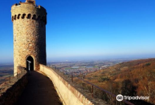 Schloss Auerbach景点图片