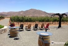 Trevista Vineyards景点图片