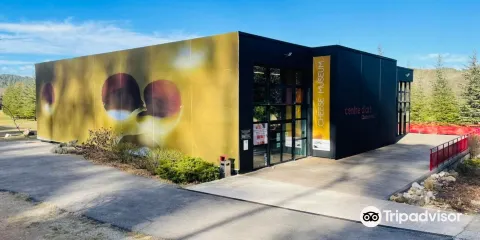 Centre d'Art Contemporain de Chateauvert