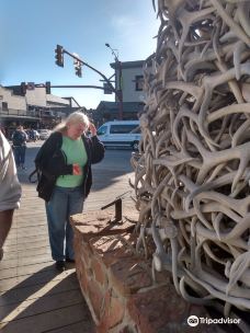 杰克逊鹿角公园-杰克逊