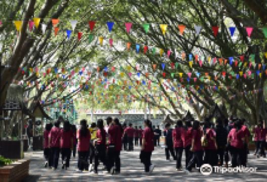 三攀象乐园景点图片