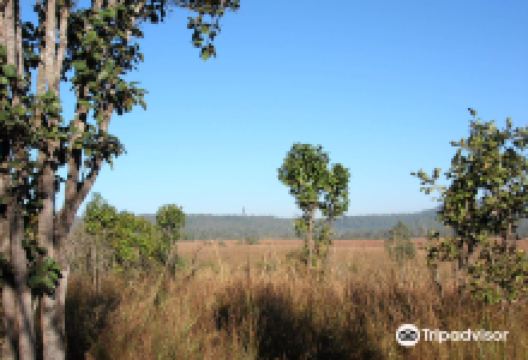 Thung Salaeng Luang National Park景点图片