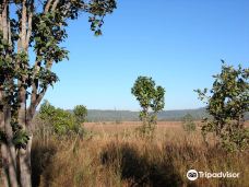 Thung Salaeng Luang National Park-彭世洛