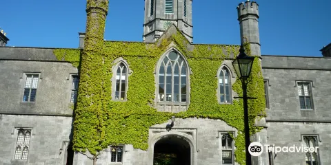 愛爾蘭國立大學戈爾韋