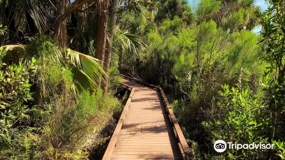Caloosahatchee Creeks Preserve