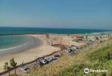 Poleg Beach景点图片