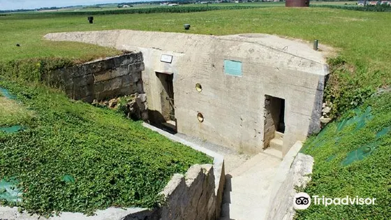 Hillman Site