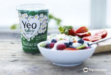 Yeo Valley Organic Garden景点图片