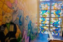 The Cat Museum景点图片