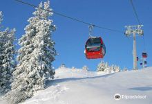 Kitzbühel Alps Panorama Lift GmbH景点图片