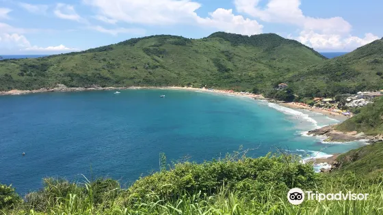 Brava Beach