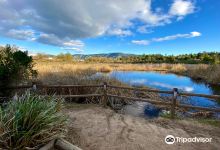 Ojai Meadows Preserve景点图片