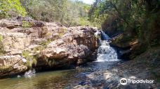 Parque Estadual Mata do Limoeiro-伊塔比拉