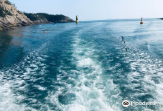 仙游岛海水浴场景点图片