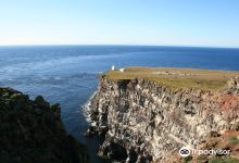 Latrabjarg bird cliffs景点图片