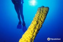 Dive Adventures购物图片