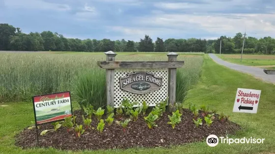 Shlagel Farms